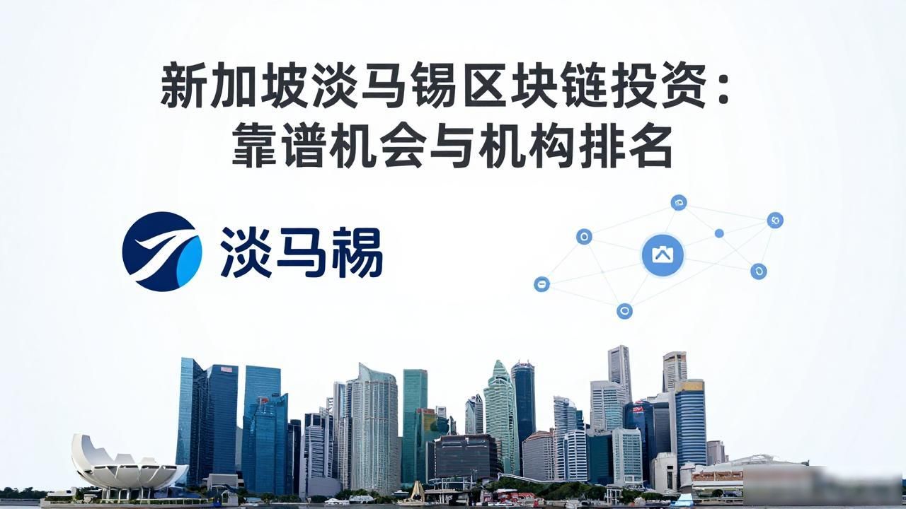 淡马锡区块链布局_新加坡区块链投资机会_新加坡淡马锡区块链